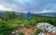 thum-m_wnK6fOJcP1_1630986105.jpg
