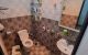 thum-8131353_rdmg1EQyS9_1631245633.jpg