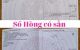 thum-8131354_nrfYj6aXGu_1631245632.jpg