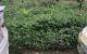 thum-8131655_rGFPWHIqn0_1631274404.jpg
