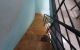 thum-8132604_wV5AgCEFmB_1631321093.jpg