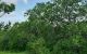 thum-8132768_EvZaipGYTx_1631329952.jpeg