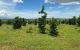 thum-8132881_mdrkGg8EVy_1631335204.jpg