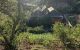 thum-8132966_CjOxRQs0HW_1631347779.jpeg