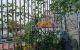 thum-8133056_7xOsHyRuAJ_1631349708.jpg