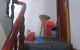 thum-8134030_kETG4M7sfm_1631423424.jpg