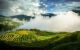 thum-8135308_MrBNIF0vDx_1631526028.jpg