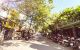 thum-8135410_Ls6iqANHyV_1631536957.jpg
