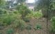 thum-8135443_ApL6JhUsz5_1631541721.jpg