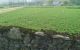 thum-8135443_Awv3i12WdX_1631541718.jpg