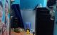 thum-8135449_GS052iRfMV_1631542235.jpg