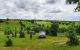 thum-m_YZ92i3KSTf_1631506564.jpg