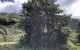 thum-m_xQWwJXzKtY_1631526171.jpg
