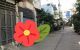 thum-m_9MvFSq5Xdy_1631590830.jpg