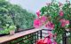 thum-8137680_XyZK4vjIGu_1631668120.jpg