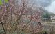 thum-8137824_RUY8xdnKVp_1631675779.jpg