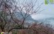thum-8137824_fEWJdx2ON9_1631675775.jpg