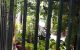 thum-8138323_mv9bQDdYVx_1631724534.jpg