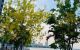 thum-m_2j8RC6IcBr_1631702958.jpg