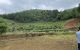 thum-m_sEWe86iURF_1631690999.jpg