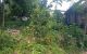 thum-8139133_NzLUKFRq8l_1631767356.jpg