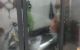 thum-8141525_VIdLbZ9Gi5_1631949759.jpg