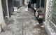 thum-8141529_0Ty9G8a4Vj_1631950690.jpg