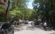 thum-8141792_yXQIN7xdfD_1631976461.jpg