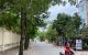 thum-m_PowxeukzV9_1631954590.jpg
