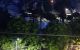 thum-8142555_MkAmvwlft8_1632024744.jpeg