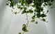 thum-8142618_SB3Dvspocw_1632037946.jpeg