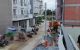 thum-8143621_Mdg9UhAbs4_1632115833.jpg