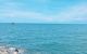 thum-8143751_xOQUG1d68K_1632129342.jpg