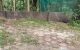 thum-m_TR5MyNqZbO_1632112071.jpg