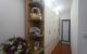 thum-8144643_39Ow8vucKC_1632189688.jpg