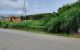 thum-8144782_J6qct8zWY1_1632201364.jpg