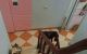 thum-8144956_UTdGoxbwXL_1632217543.jpg