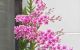 thum-8145028_RjX3wpSt18_1632231484.jpg