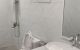 thum-8146201_dVYyL9biPM_1632289609.jpeg