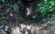 thum-8146370_xDCZBY72pH_1632306155.jpg