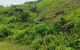 thum-8146375_lk3bXuZ5CQ_1632306585.jpg