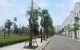 thum-8146443_pj4o8H3NSx_1632321214.jpg