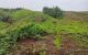 thum-m_IkgcvLbToB_1632306574.jpg