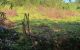 thum-m_i5LuCqX0ef_1632306138.jpg