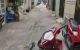 thum-8147157_cT6WS1Pdkq_1632368016.jpg
