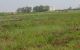 thum-8147381_S7bIzlcxMf_1632384158.jpg