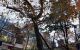 thum-8147525_v394QmkMS6_1632403650.jpg