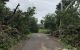 thum-8147862_Gi8rszcWUK_1632425470.jpg