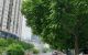 thum-8148426_ZbVFR5vTKQ_1632454689.jpg