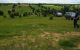 thum-8148605_XhMa7DBdrl_1632470738.jpg
